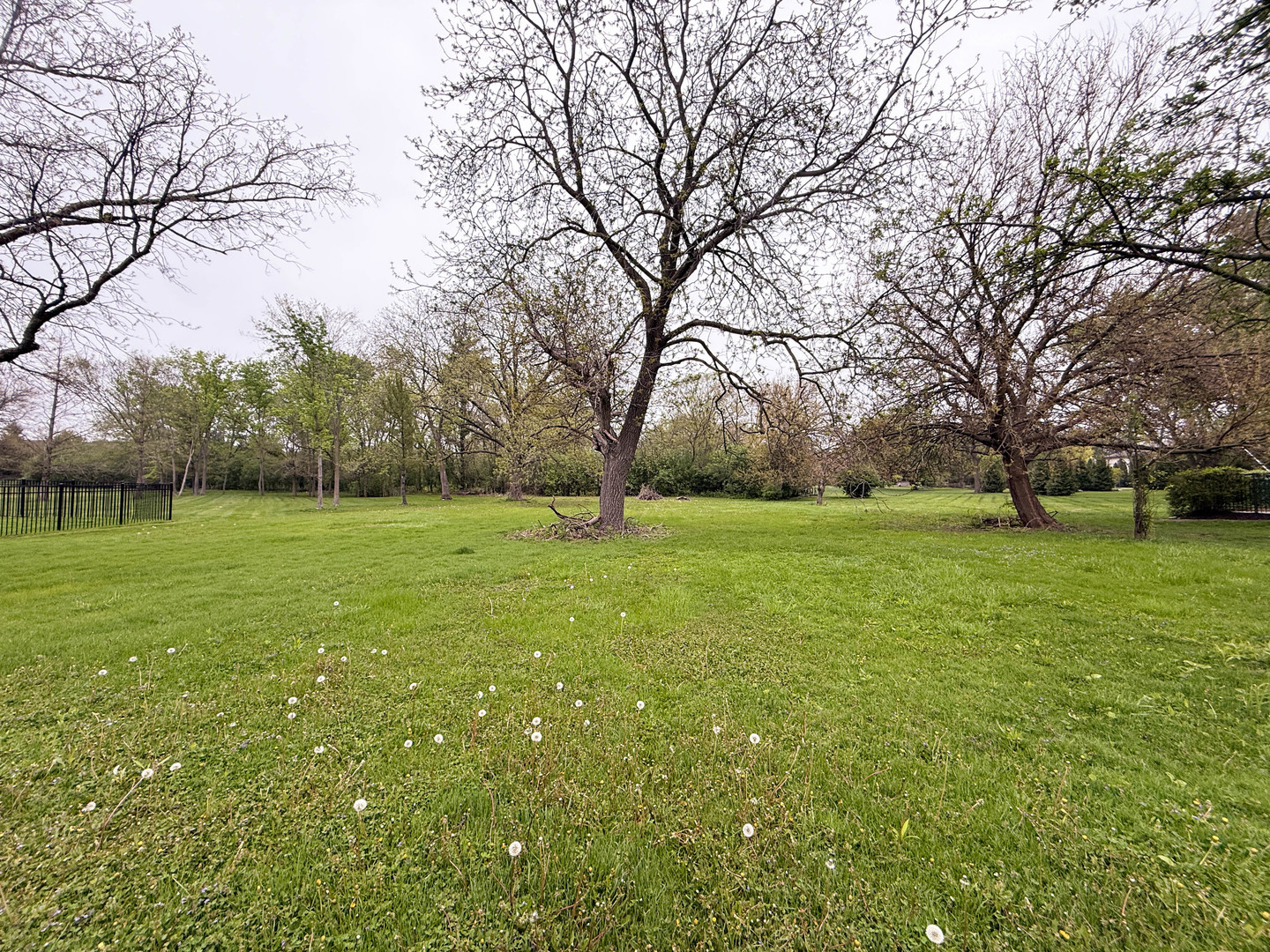 7725 S Drew Avenue, Burr Ridge, IL 60527