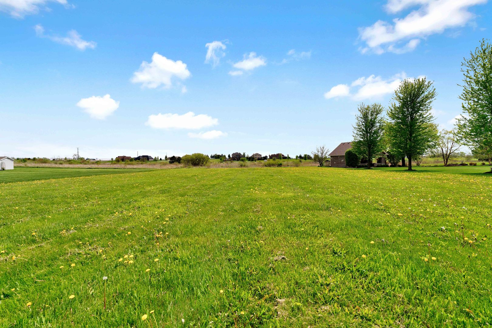 10127 W Tall Grass Lane, Monee, IL 60449