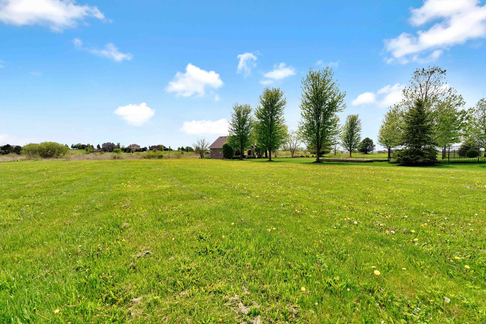 10127 W Tall Grass Lane, Monee, IL 60449