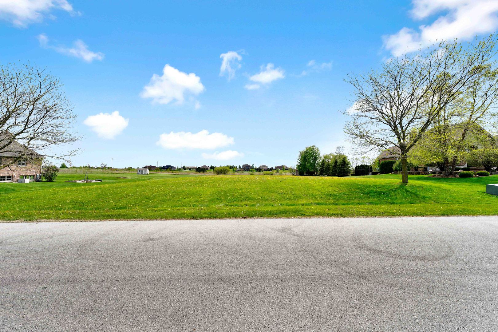 10127 W Tall Grass Lane, Monee, IL 60449