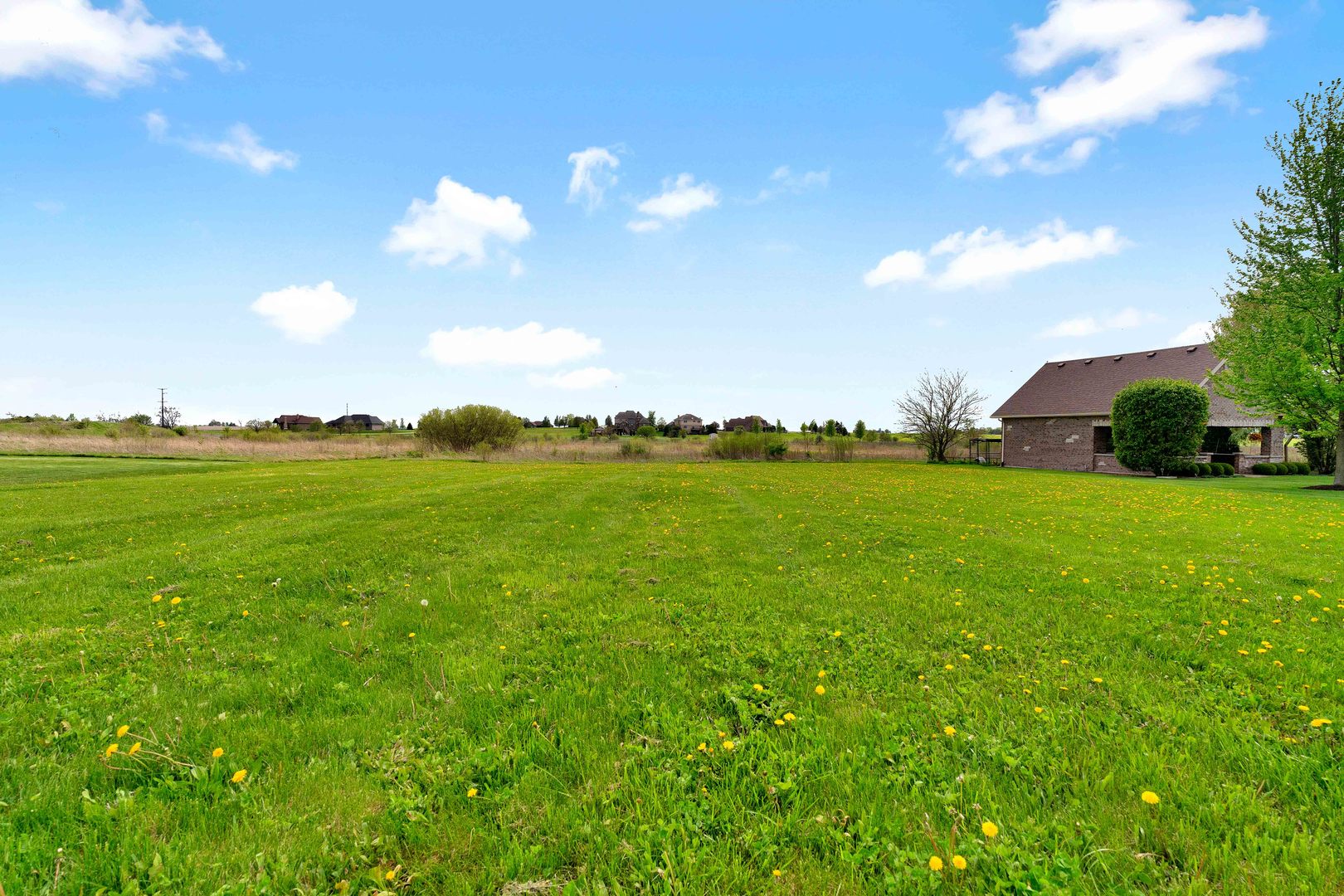 10127 W Tall Grass Lane, Monee, IL 60449