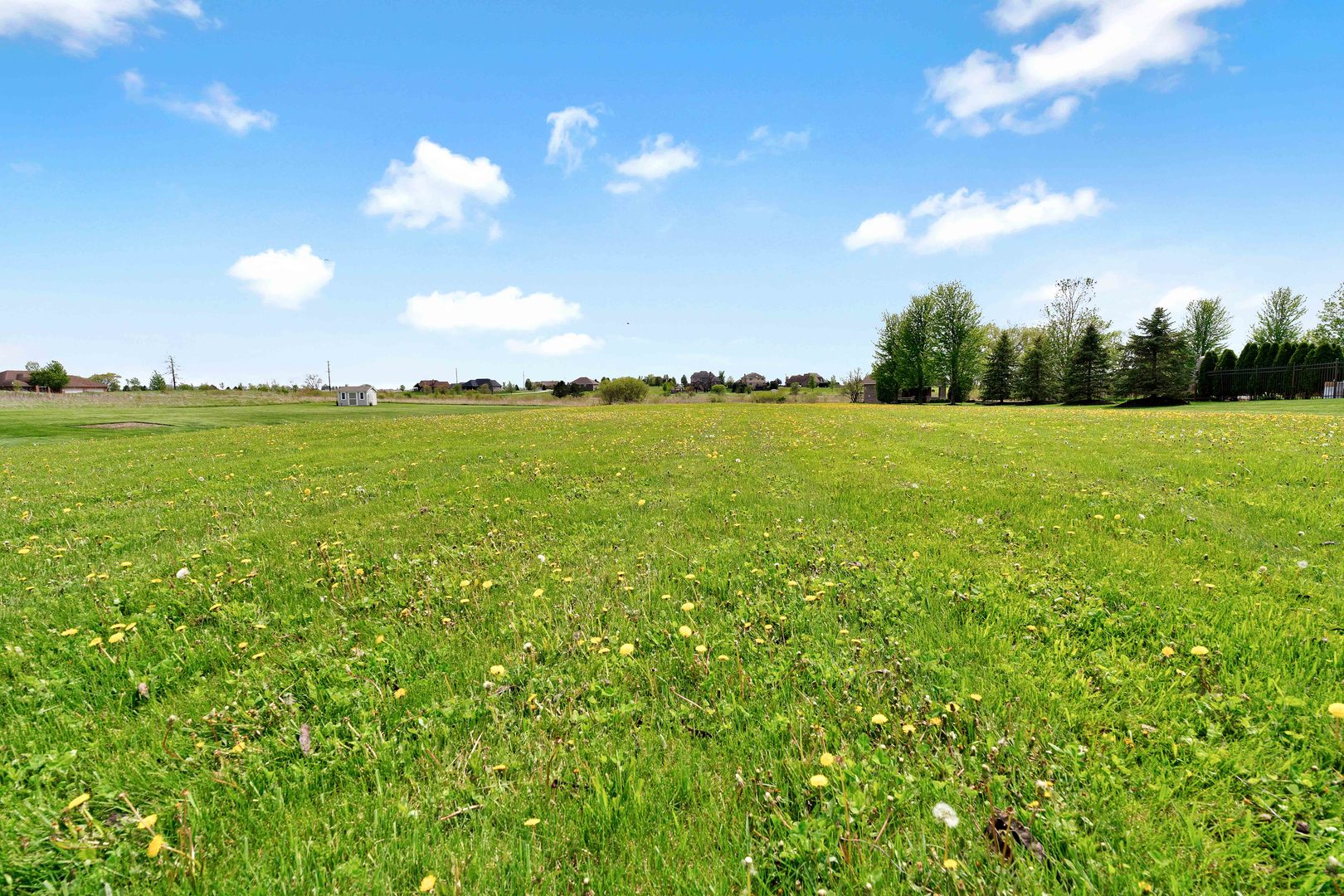 10127 W Tall Grass Lane, Monee, IL 60449