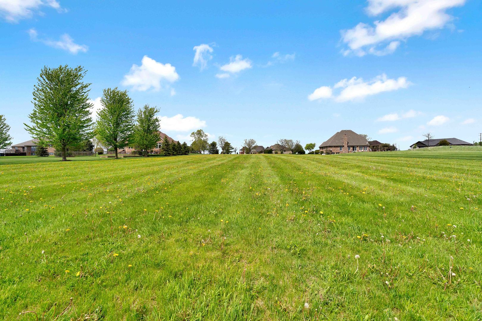 10127 W Tall Grass Lane, Monee, IL 60449