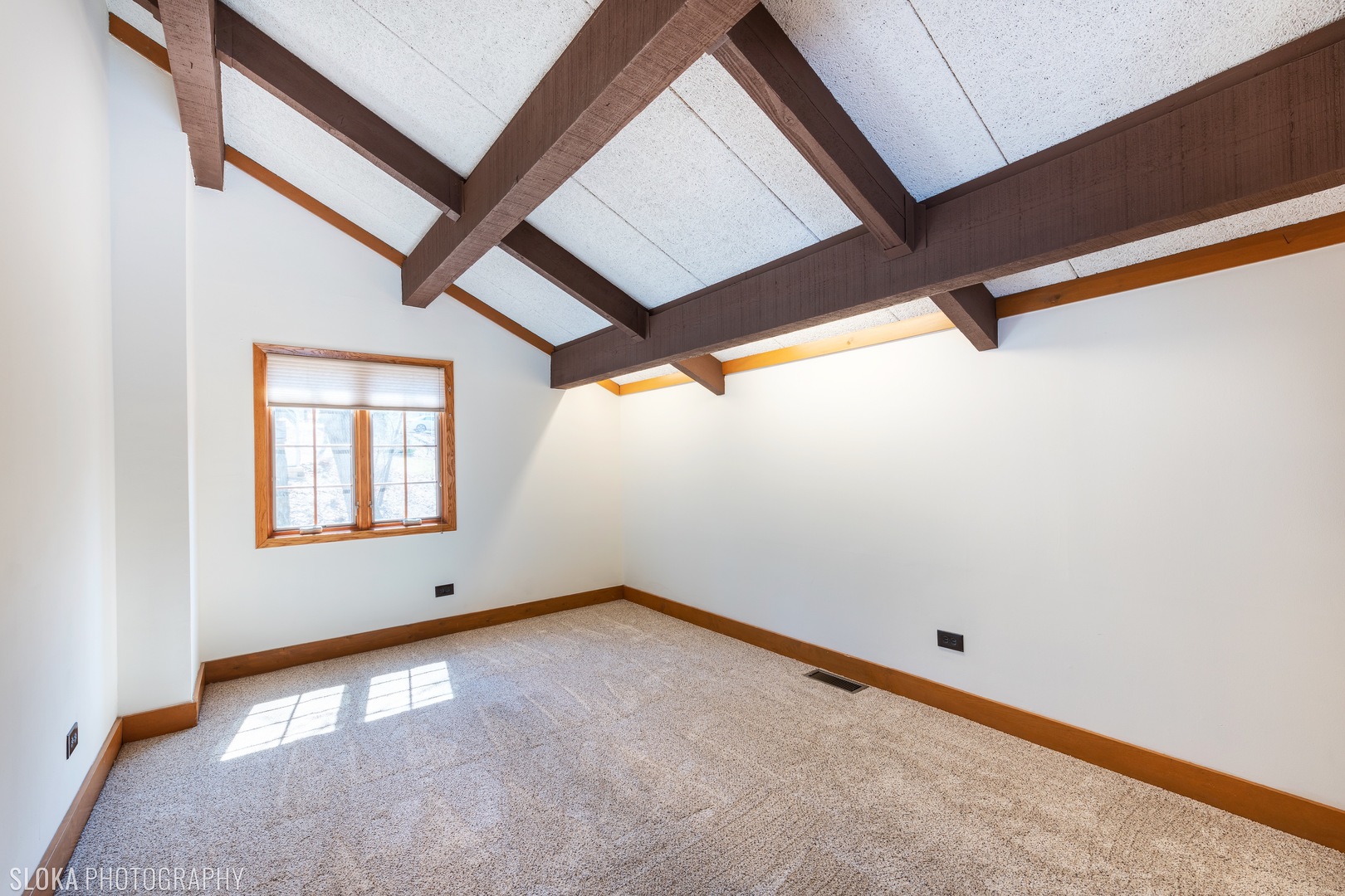 2712 Ridge Avenue, Algonquin, IL 60102