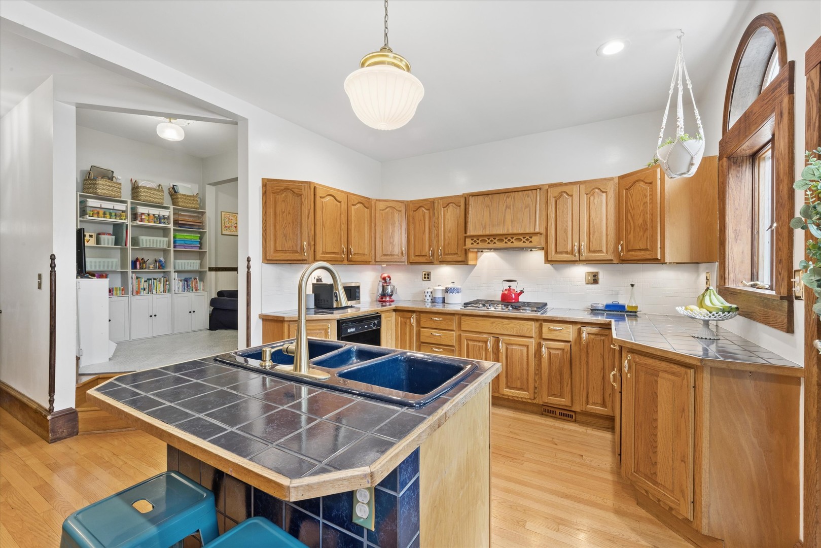 812 S Bell Avenue, Chicago, IL 60612