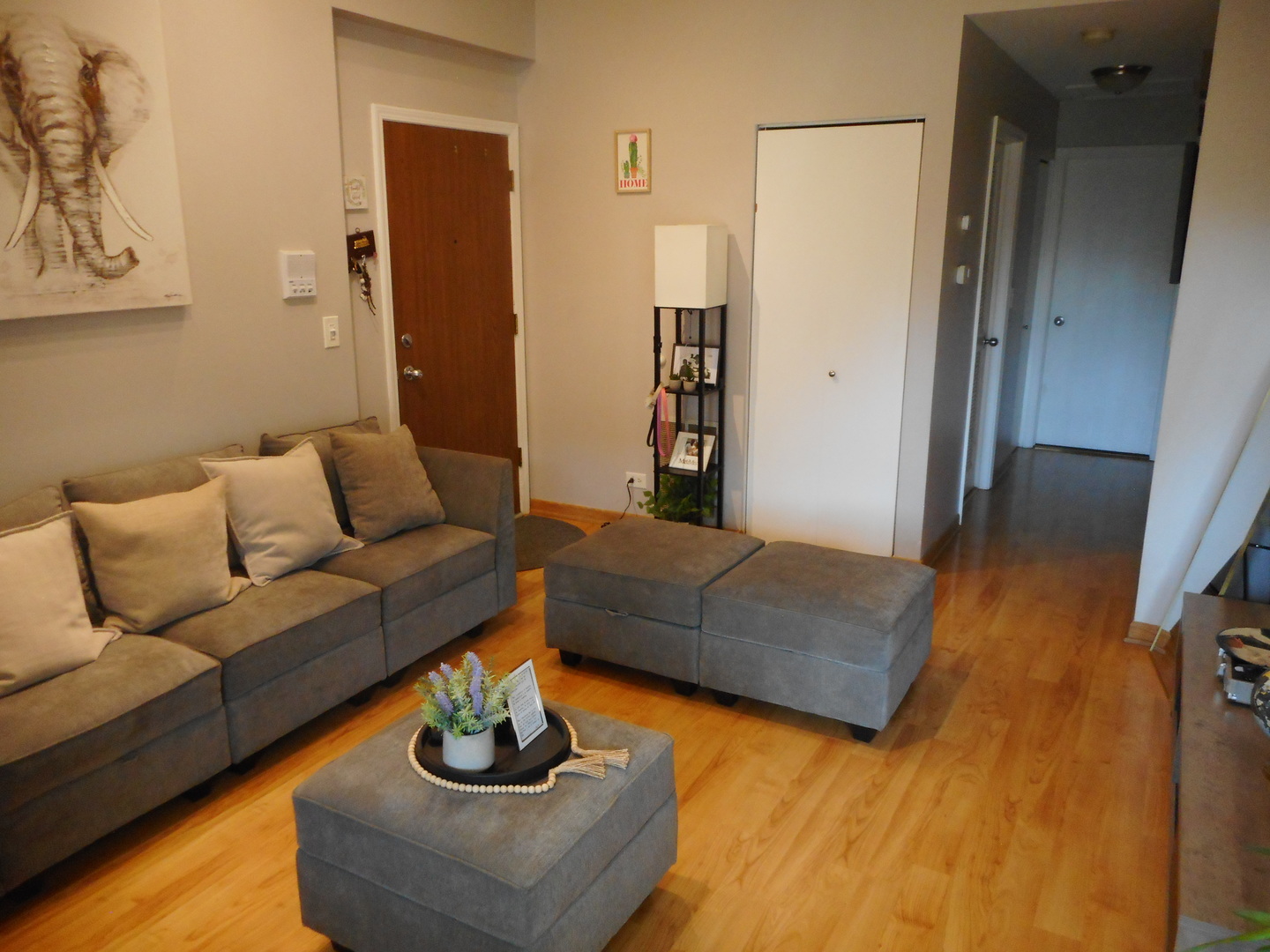 753 Candleridge Court #C2, Bartlett, IL 60103