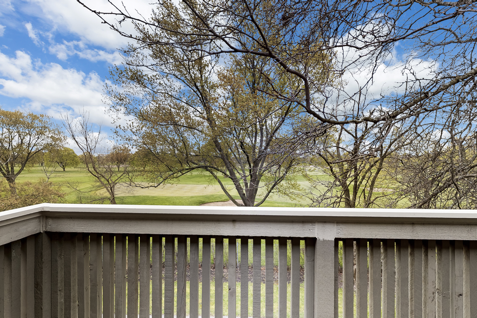 1128 Johnson Drive #3521, Buffalo Grove, IL 60089