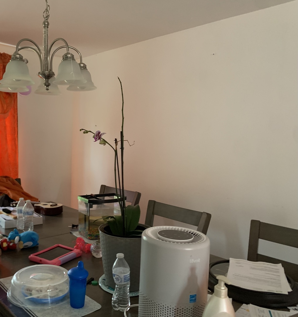 3203 Oak Court, Hazel Crest, IL 60429