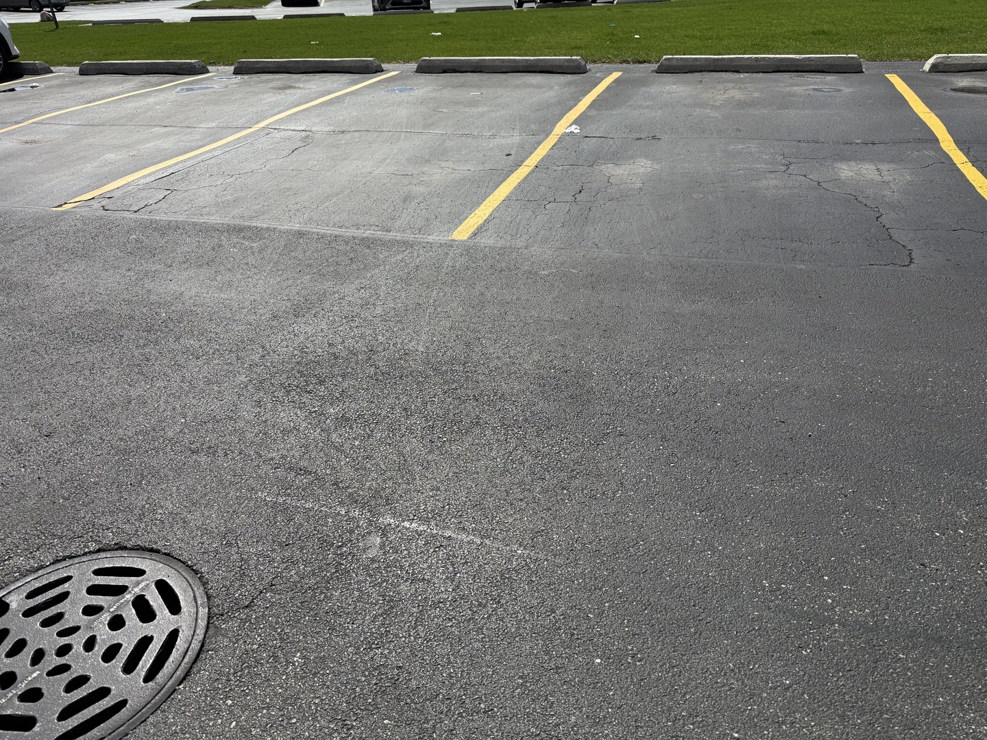 15723 Peggy Lane #11, Oak Forest, IL 60452