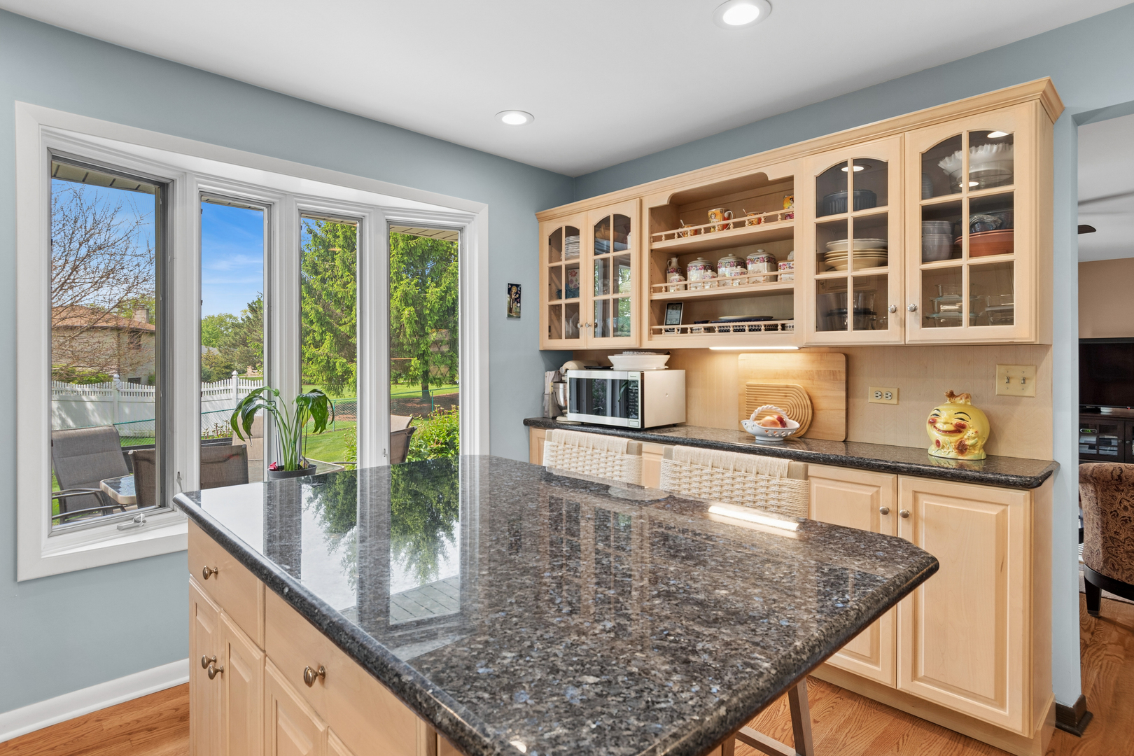 913 Andermann Lane, Darien, IL 60561