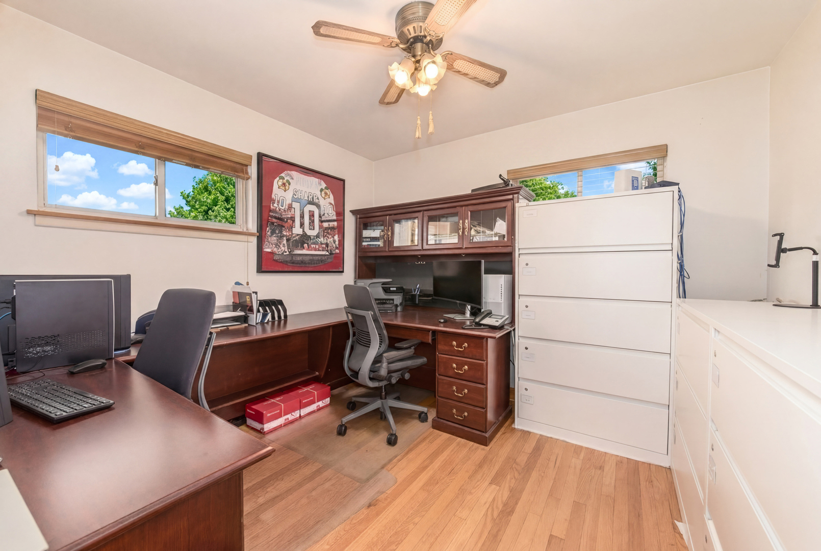 8233 N Octavia Avenue, Niles, IL 60714