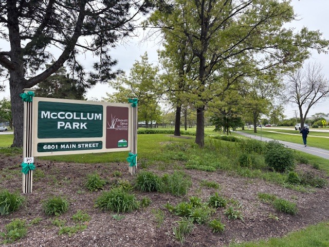 Downers Grove, IL 60516