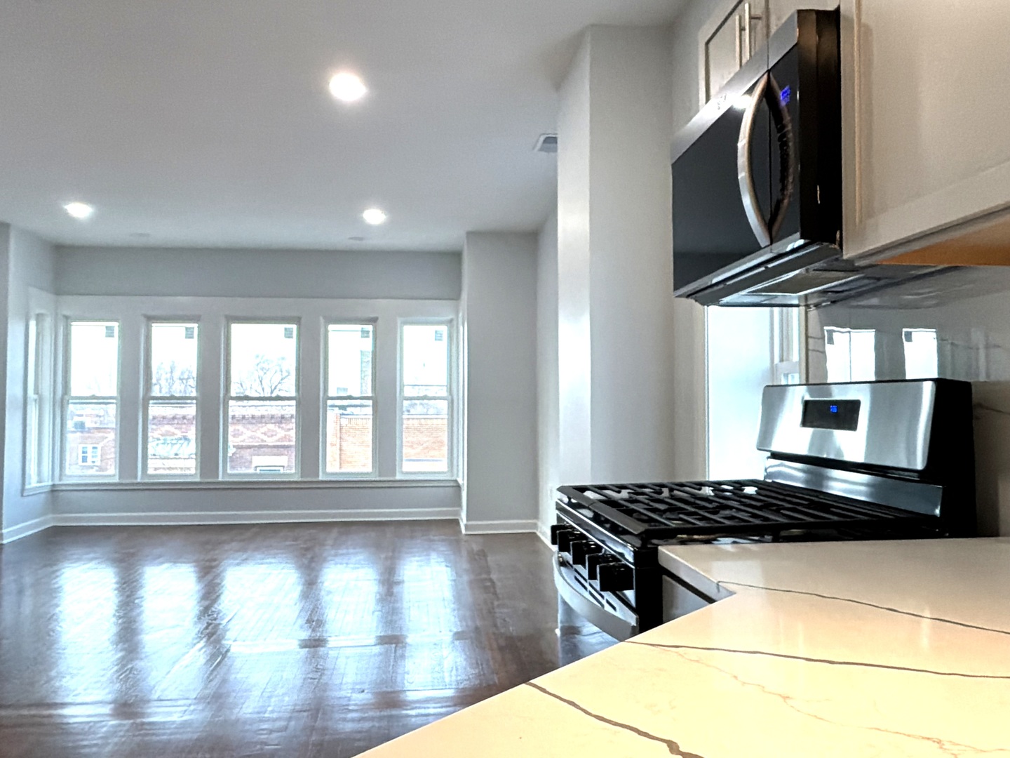 224 E Cass Street #PENTHOUSE, Joliet, IL 60432