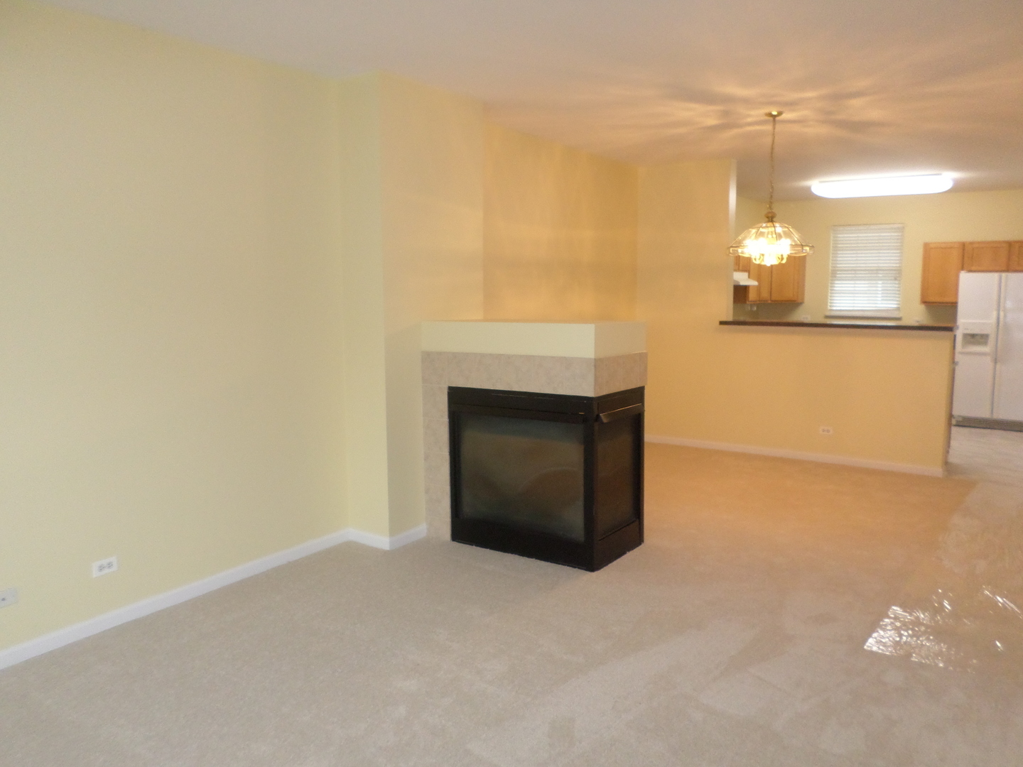 652 N Hidden Prairie Court, Palatine, IL 60067