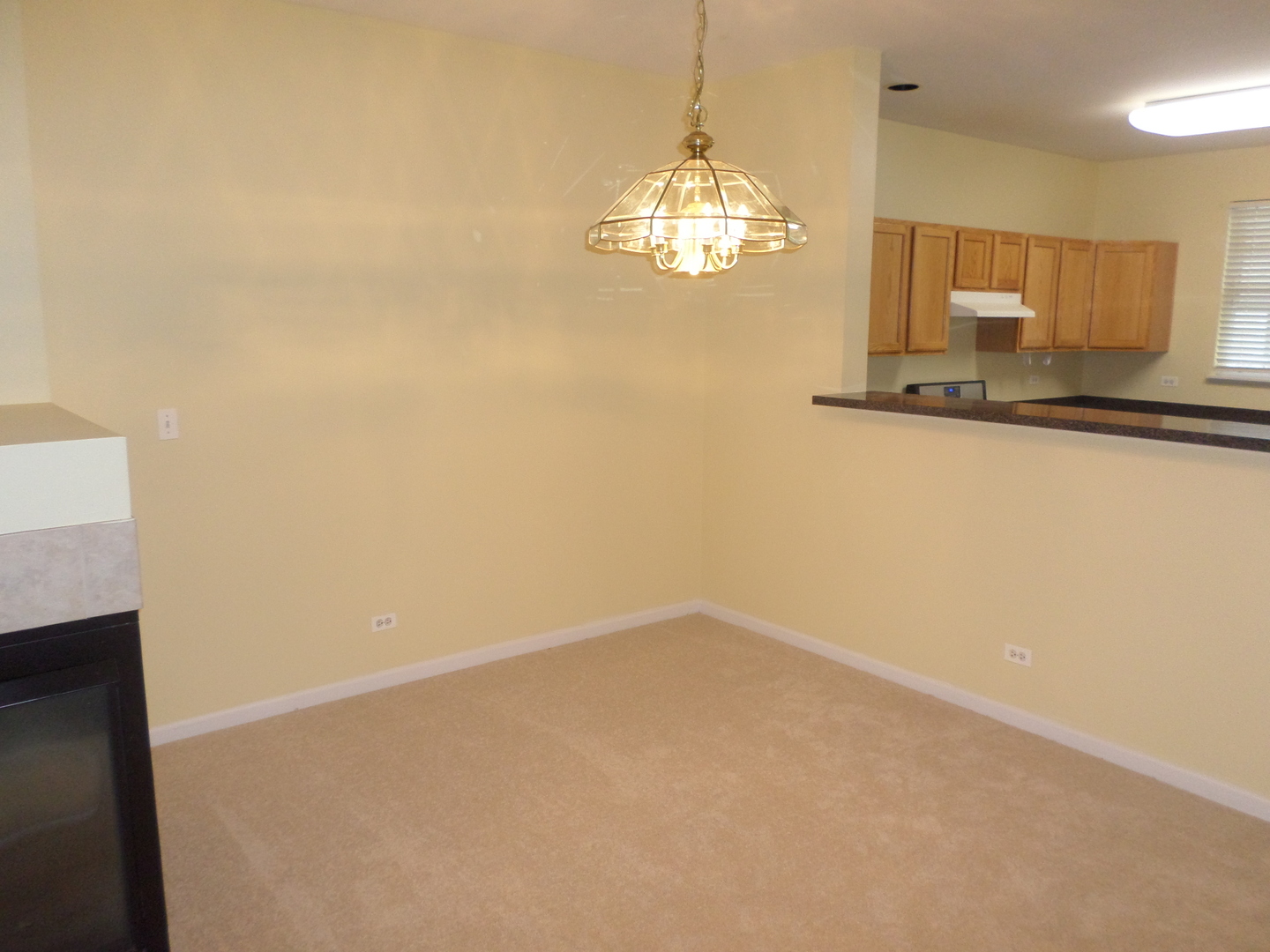 652 N Hidden Prairie Court, Palatine, IL 60067