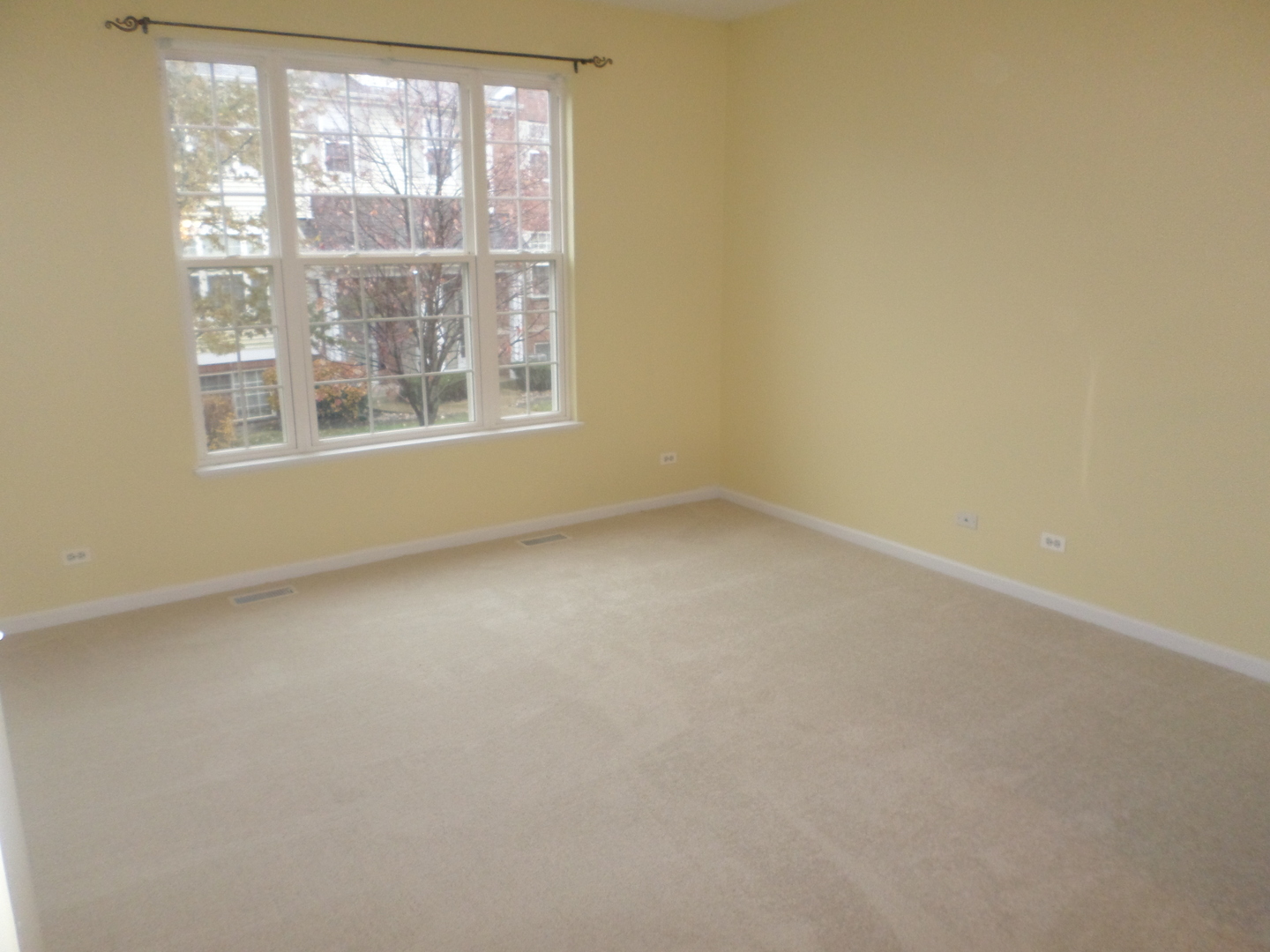 652 N Hidden Prairie Court, Palatine, IL 60067