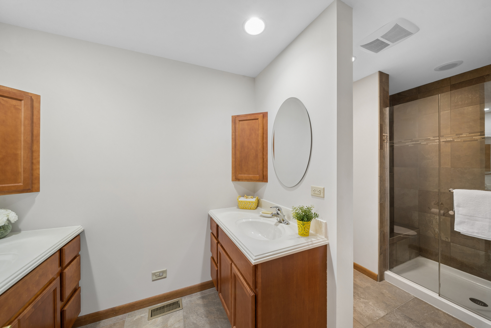5S742 Meadow Lake Drive, Naperville, IL 60540