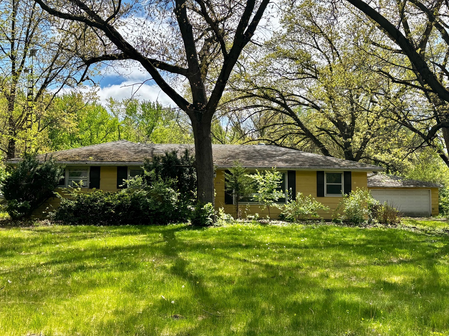 313 Wood Street, Wilmington, IL 60481