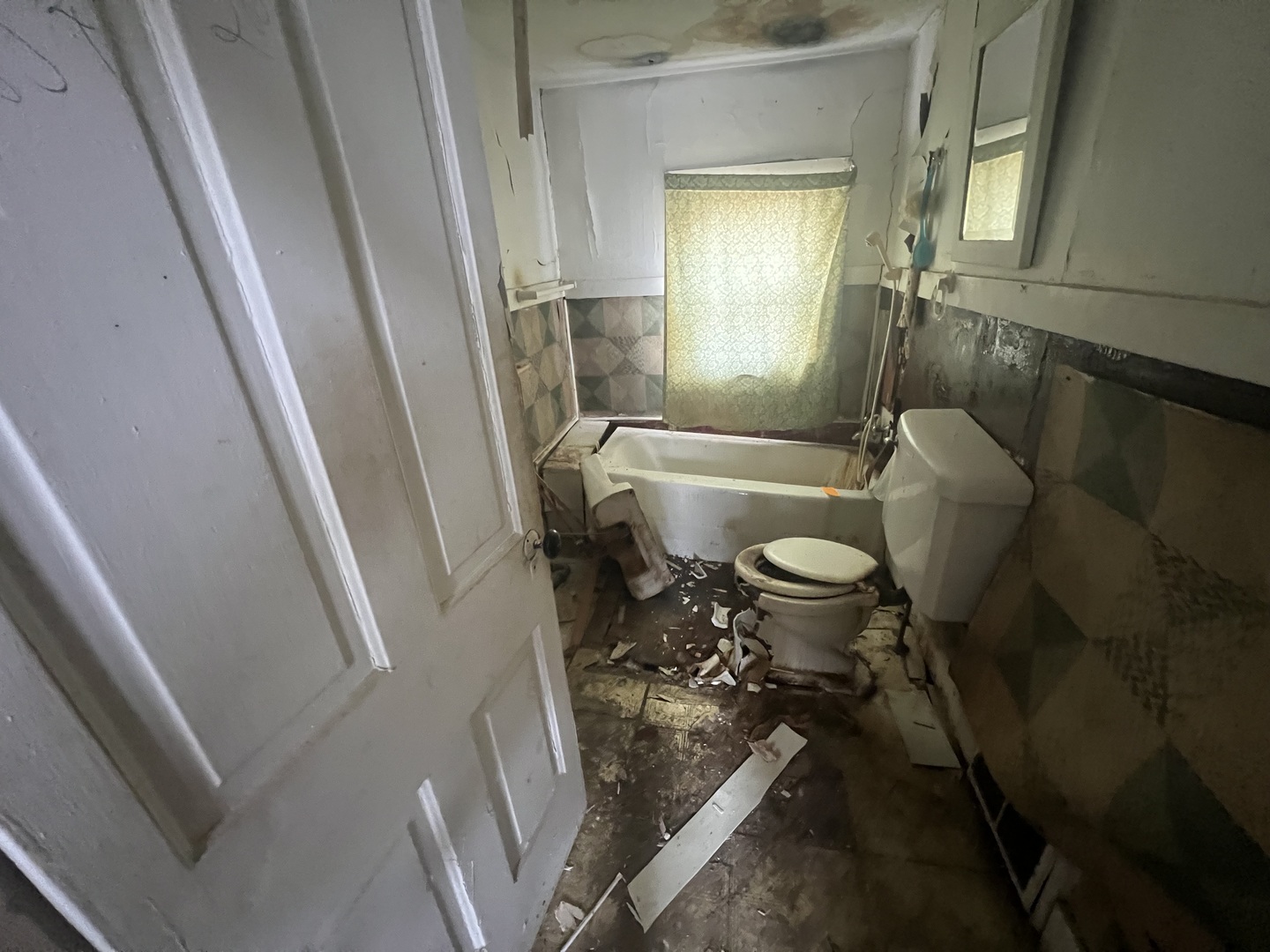 429 E Locust Street, Kankakee, IL 60901