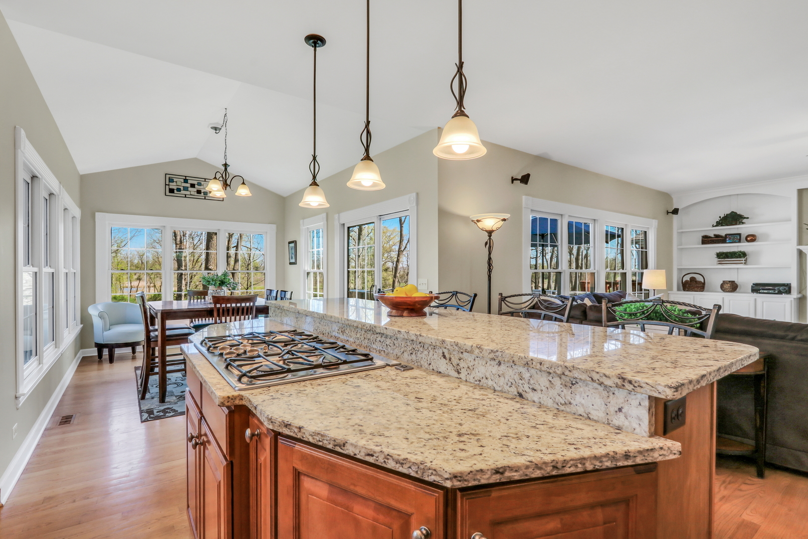 2890 TRAIL CREST Lane, Lindenhurst, IL 60046