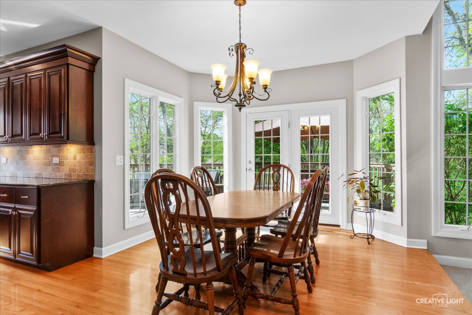 1728 Robert Lane, Naperville, IL 60564
