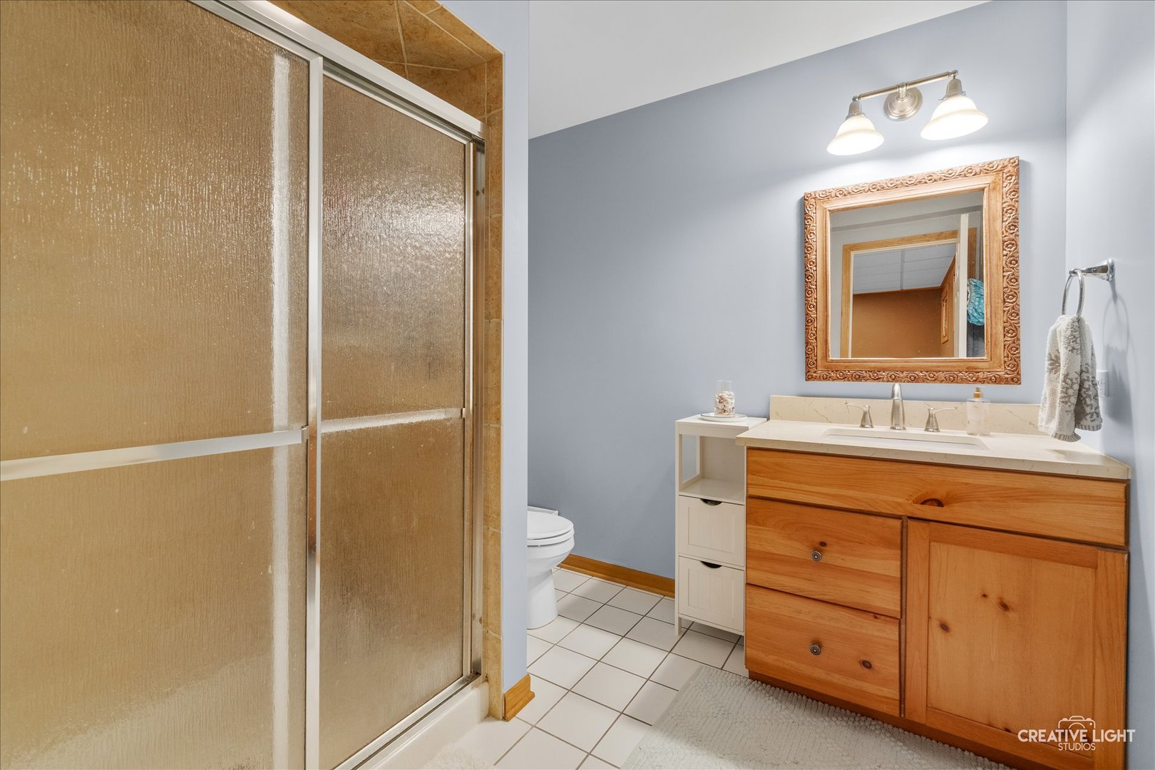 1728 Robert Lane, Naperville, IL 60564