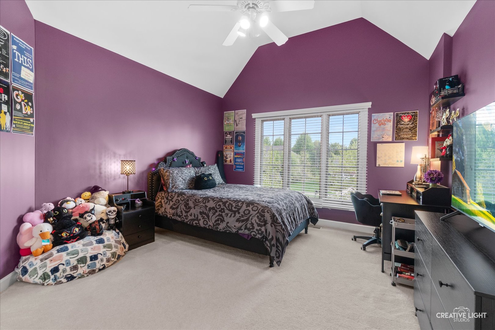 1728 Robert Lane, Naperville, IL 60564