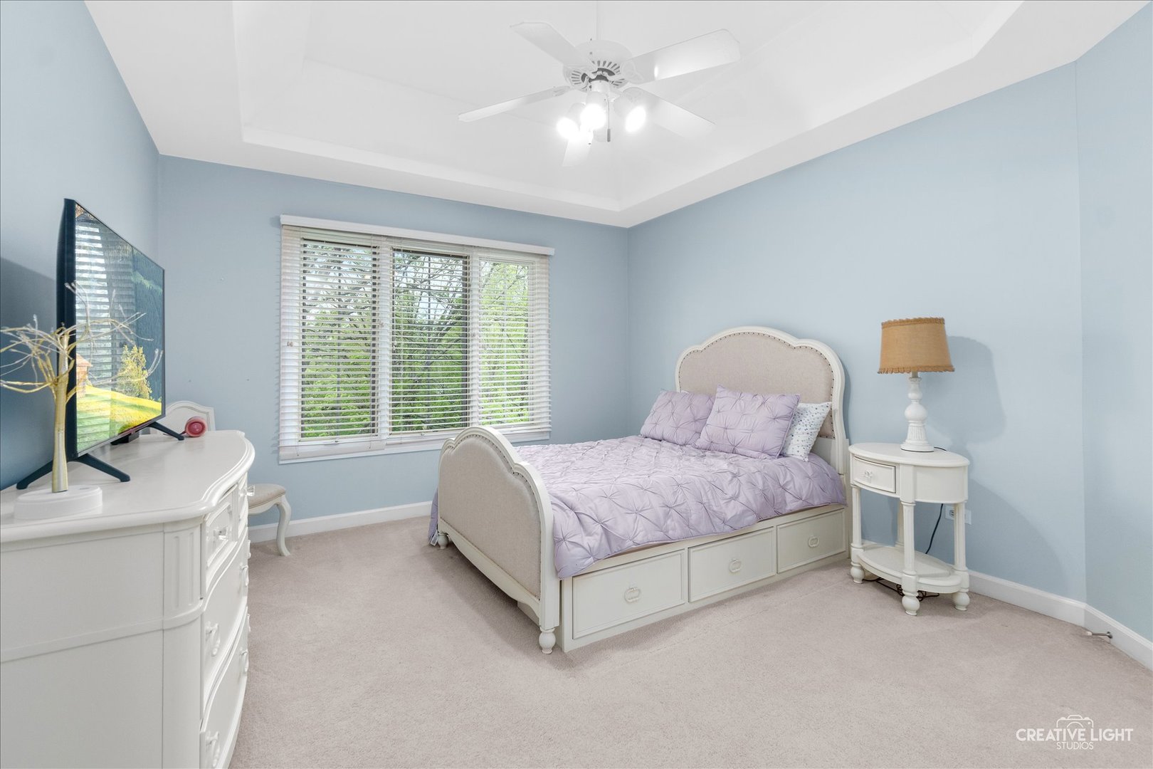 1728 Robert Lane, Naperville, IL 60564
