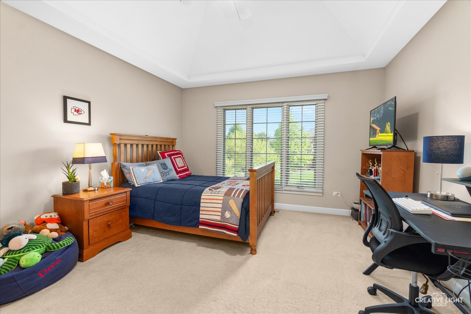 1728 Robert Lane, Naperville, IL 60564