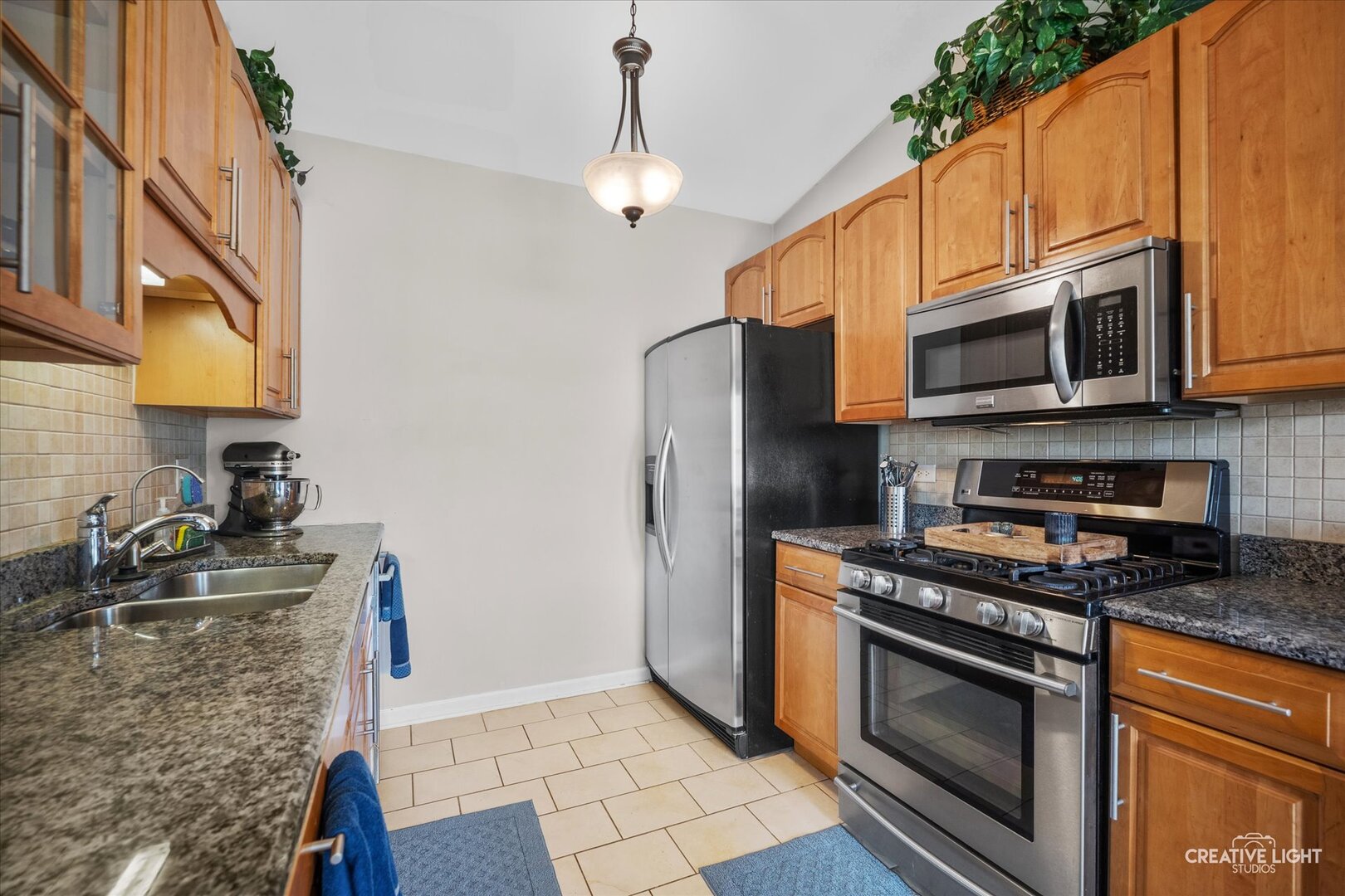 1029 Wynnfield Court, Elgin, IL 60120