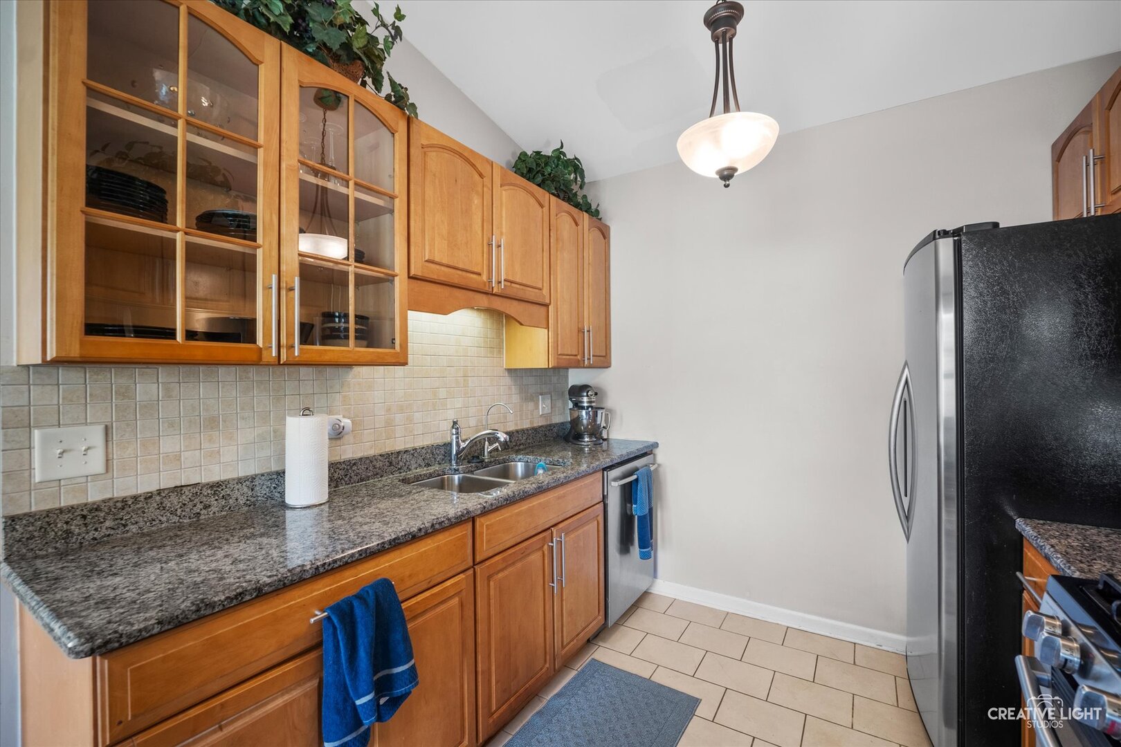 1029 Wynnfield Court, Elgin, IL 60120