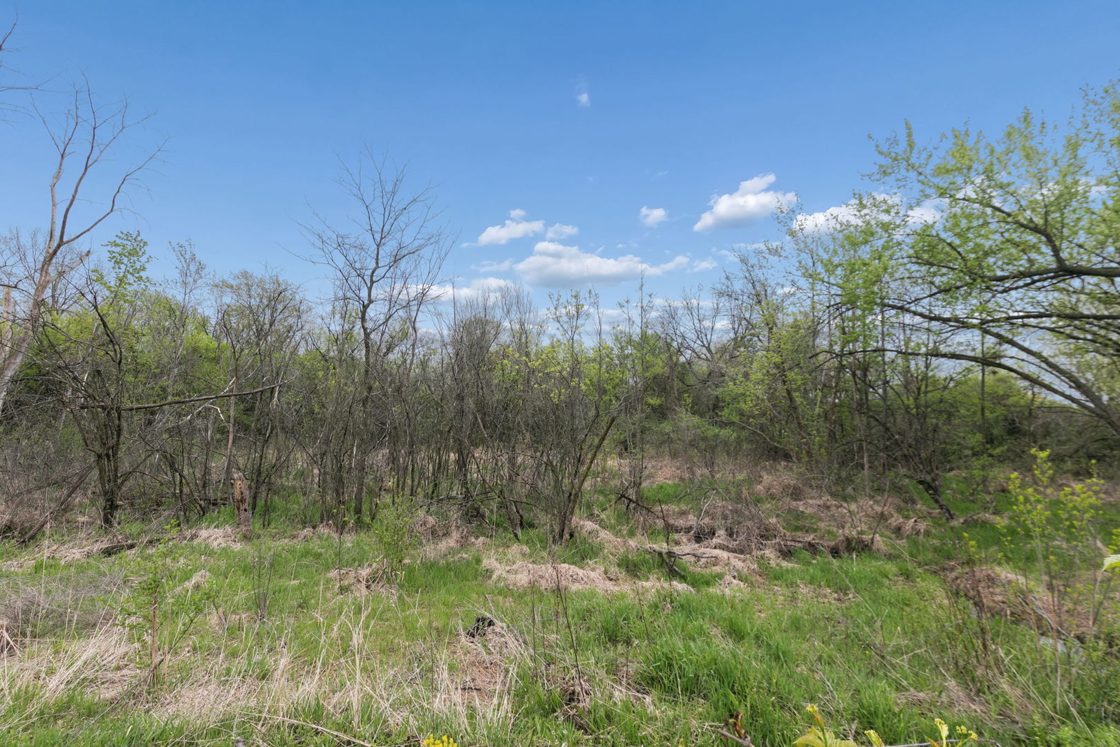 927 Gregory Lane, Schaumburg, IL 60193