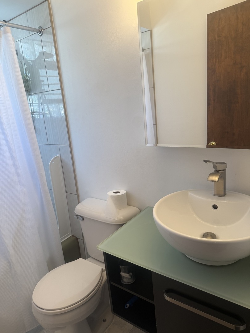 7601 Banks Street #2E, Justice, IL 60458