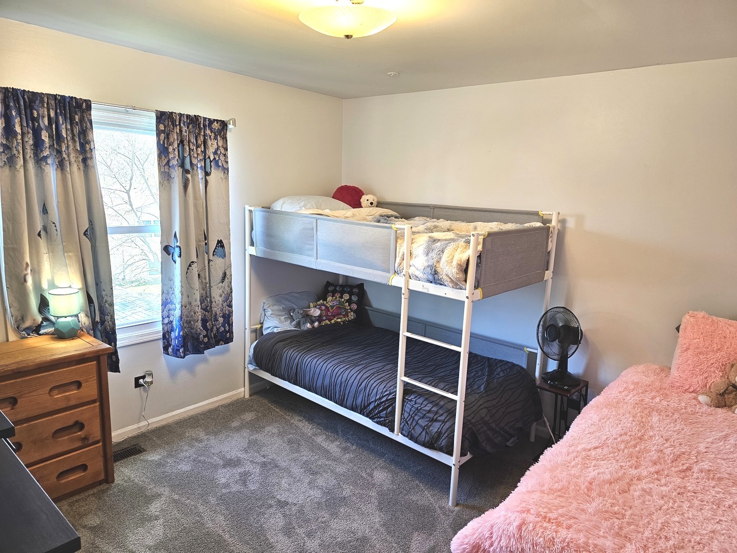 506 Shenandoah Trail, Elgin, IL 60123