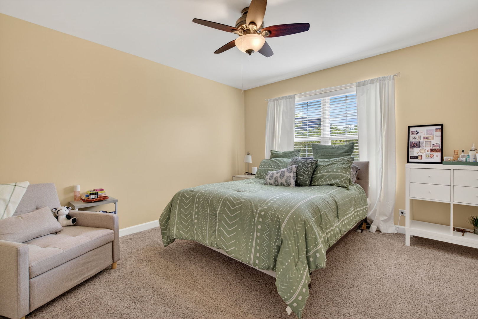 13809 Trillium Lane, Plainfield, IL 60544