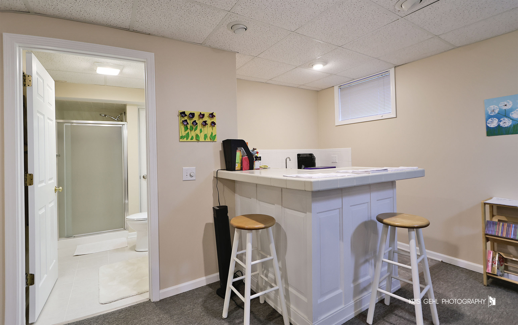 9209 Anthony Lane, Spring Grove, IL 60081