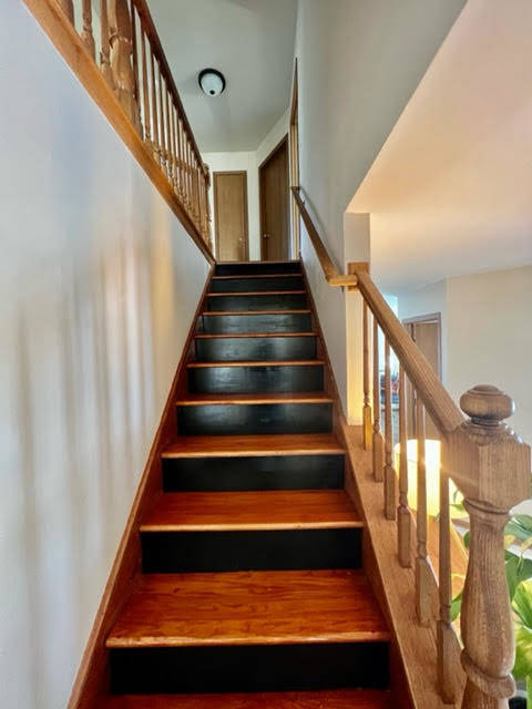 1776 ALAN DEATHERAGE Drive, Bolingbrook, IL 60490