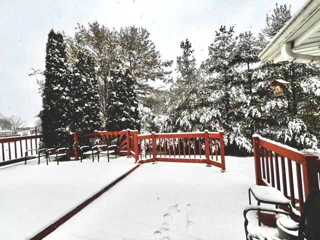 1776 ALAN DEATHERAGE Drive, Bolingbrook, IL 60490