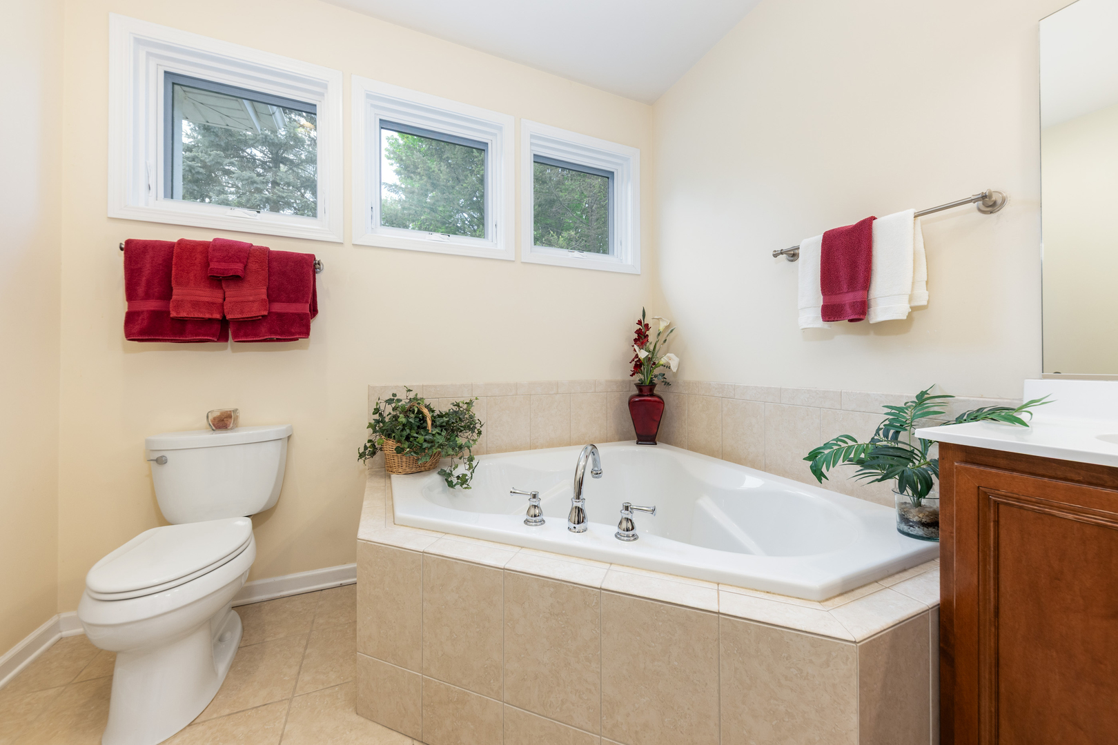 2701 W Walnut Court, Woodridge, IL 60517