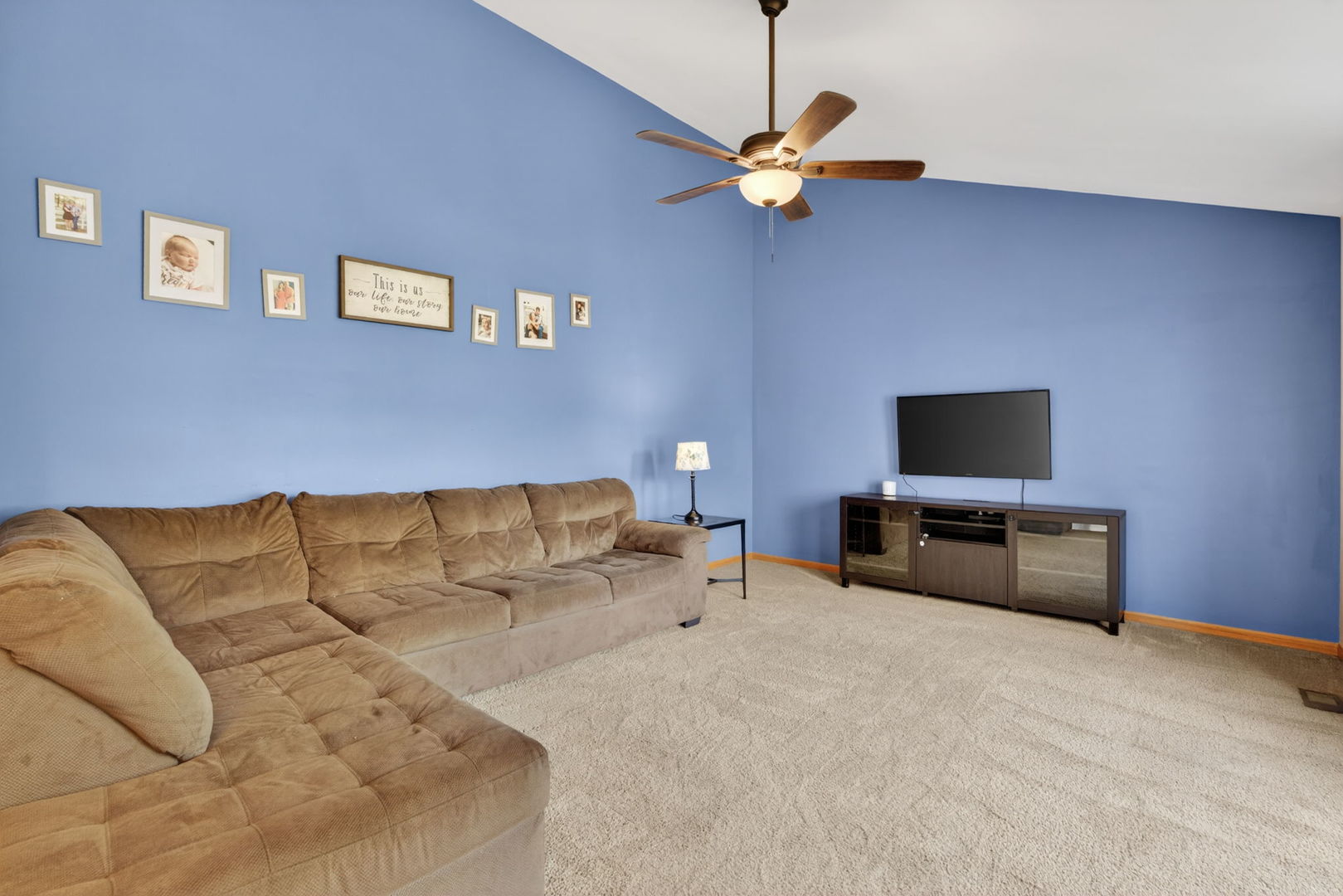 25557 S Mallard Drive, Channahon, IL 60410