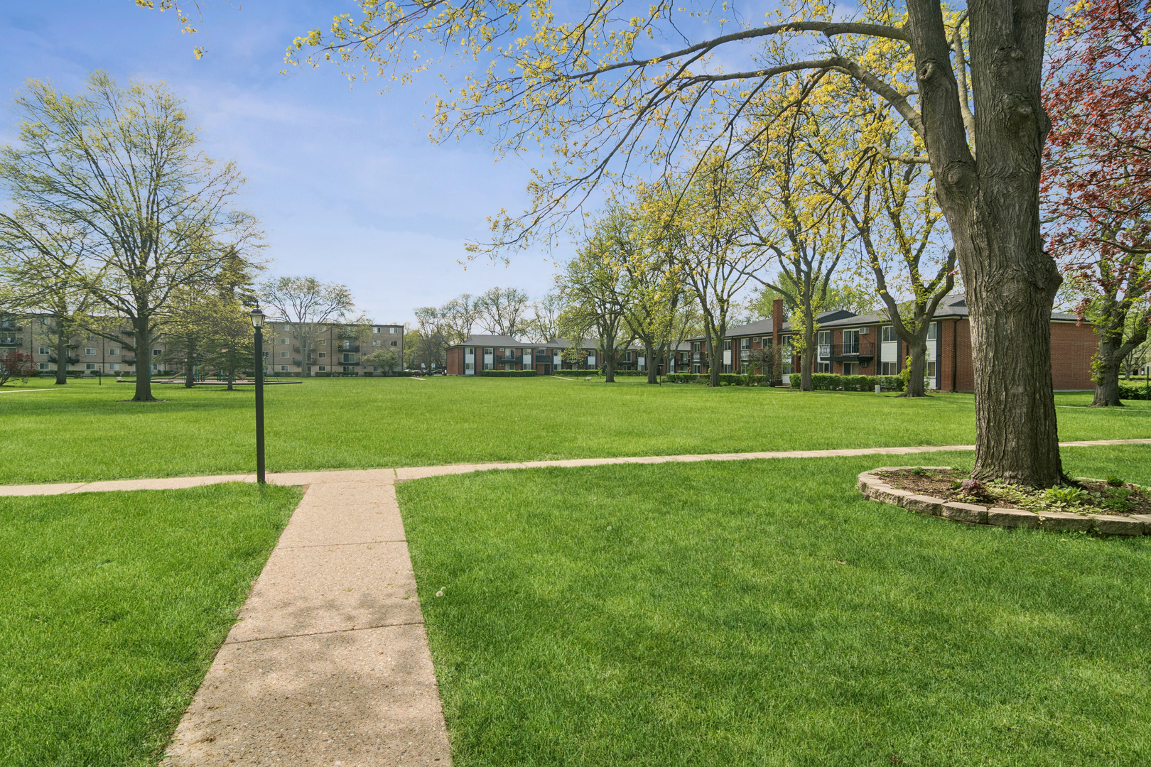 2407 E Olive Street #2F, Arlington Heights, IL 60004