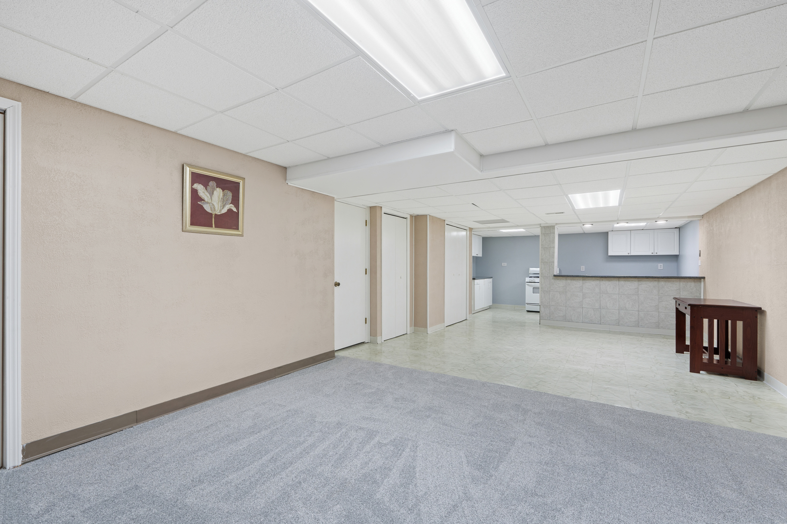 8592 Tullamore Drive, Tinley Park, IL 60487