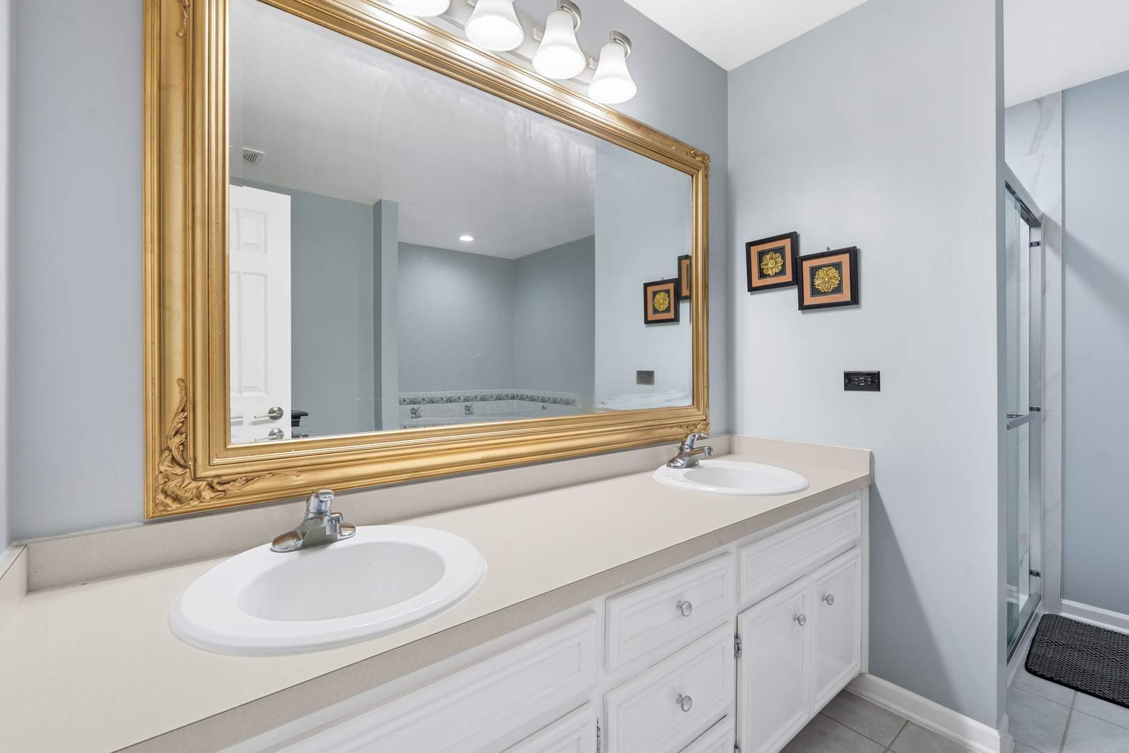 8592 Tullamore Drive, Tinley Park, IL 60487