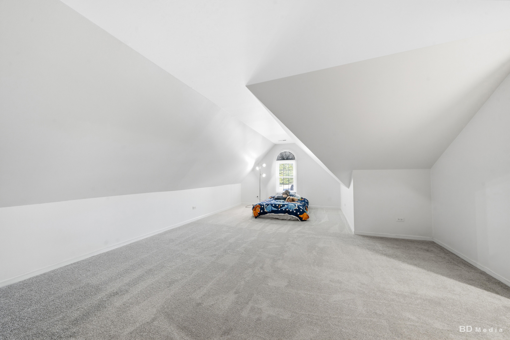 22086 Princeton Circle, Frankfort, IL 60423