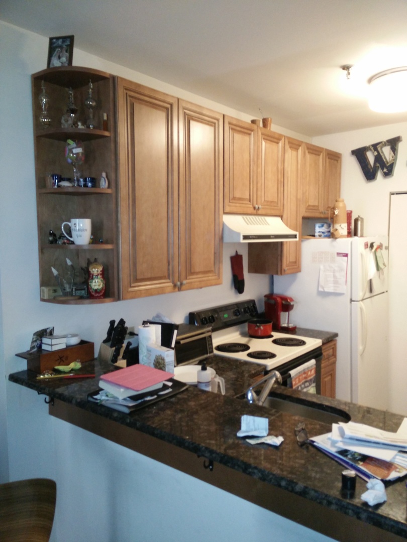 640 S Federal Street #403, Chicago, IL 60605