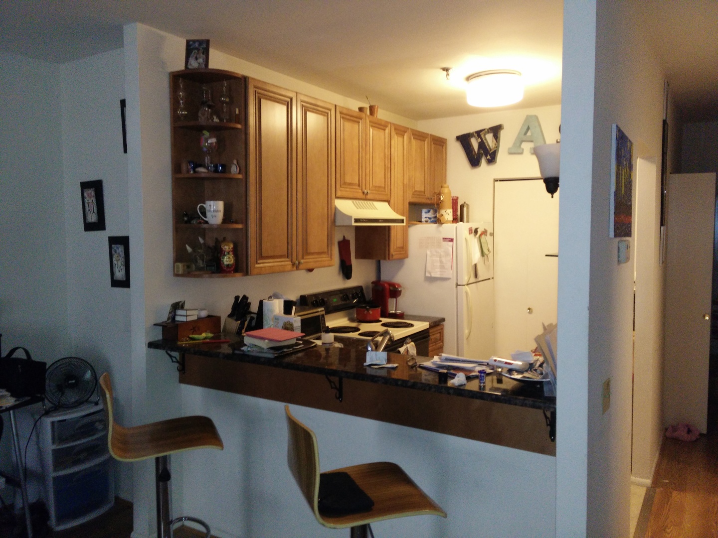 640 S Federal Street #403, Chicago, IL 60605