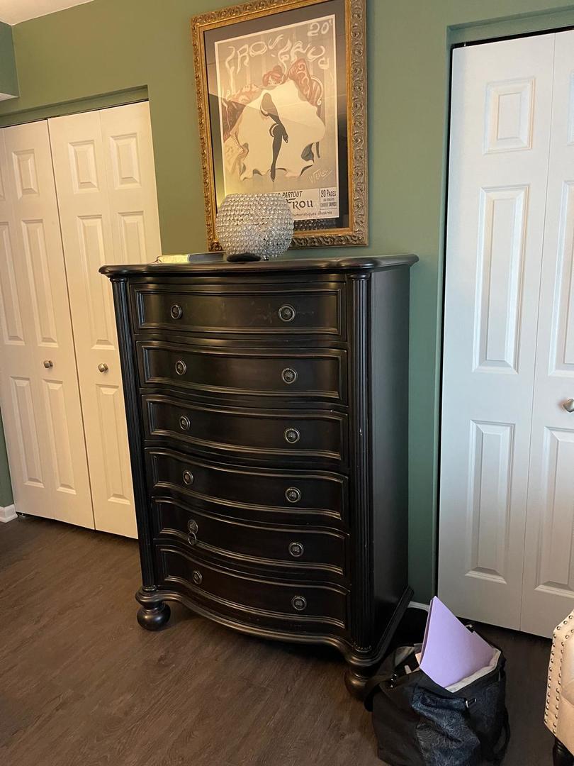 11103 S St Louis Avenue #203, Chicago, IL 60655