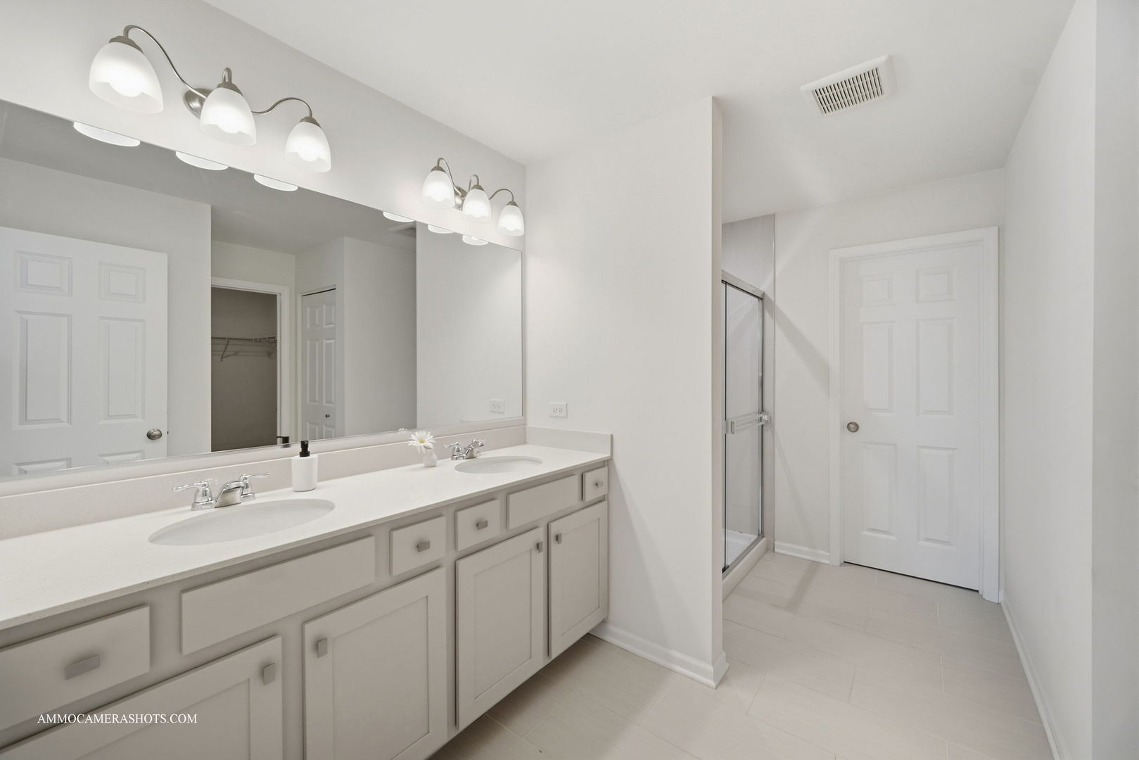 26305 W Milestone Drive, Plainfield, IL 60585
