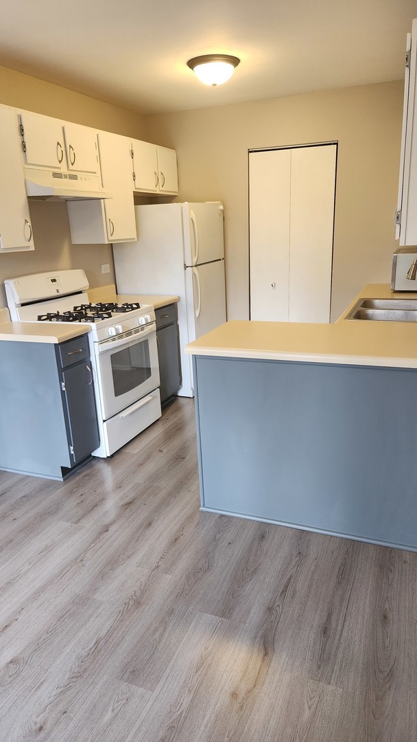 324 Mulberry Court #C2, Bartlett, IL 60103