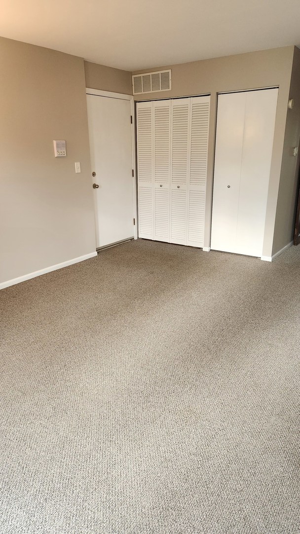 324 Mulberry Court #C2, Bartlett, IL 60103